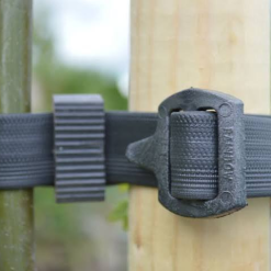 Buckle Tree Ties