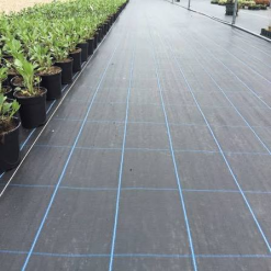 Premium Ground Cover